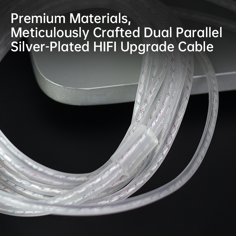 CCA C1 Type-c Silver Plated Ea - đánh giá và giá Usb C Earphone