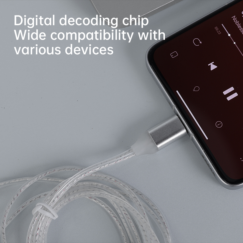 CCA C1 Type-c Silver Plated Ea - đánh giá và giá Usb C Earphone
